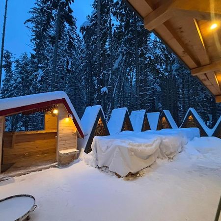 Algara Hut Ξενοδοχείο Panichishte Εξωτερικό φωτογραφία