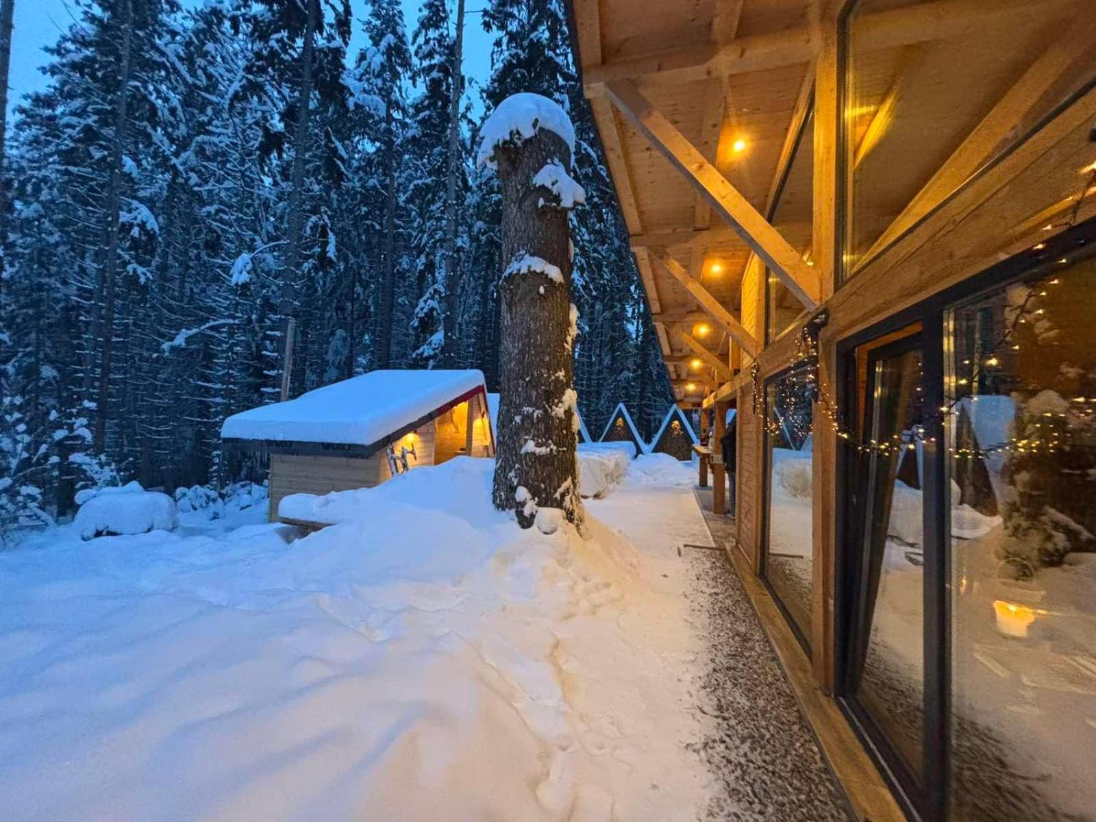 Algara Hut Ξενοδοχείο Panichishte Εξωτερικό φωτογραφία