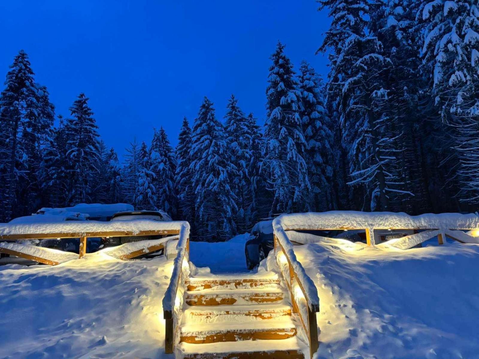 Algara Hut Ξενοδοχείο Panichishte Εξωτερικό φωτογραφία
